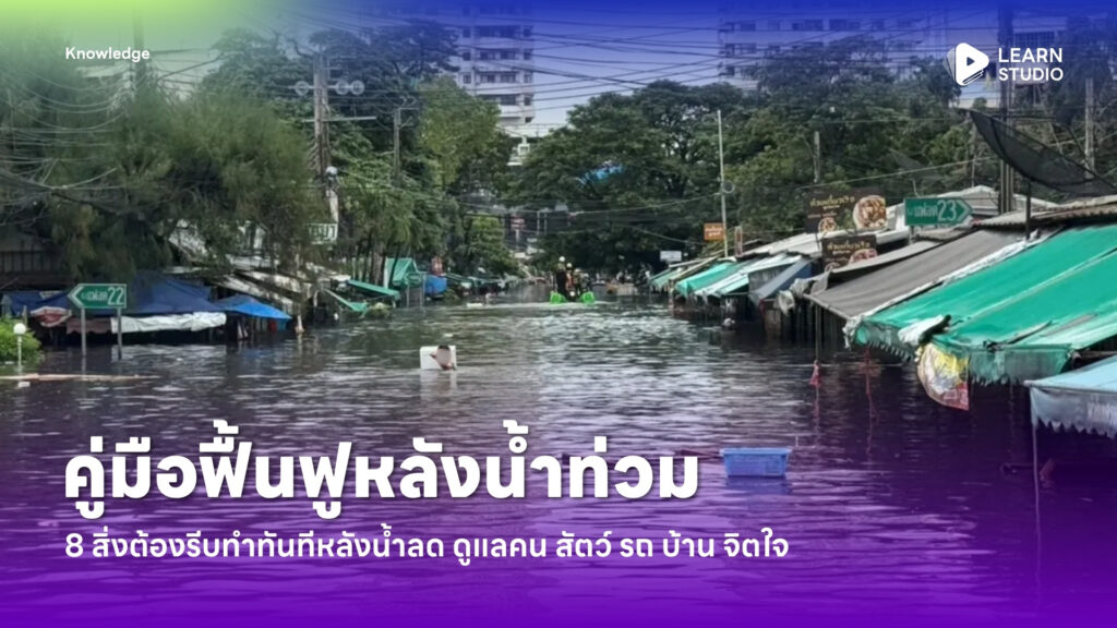 คู่มือฟื้นฟูหลังน้ำท่วม : 8 สิ่งต้องรีบทำทันทีหลังน้ำลด ดูแลคน สัตว์ รถ บ้าน จิตใจ