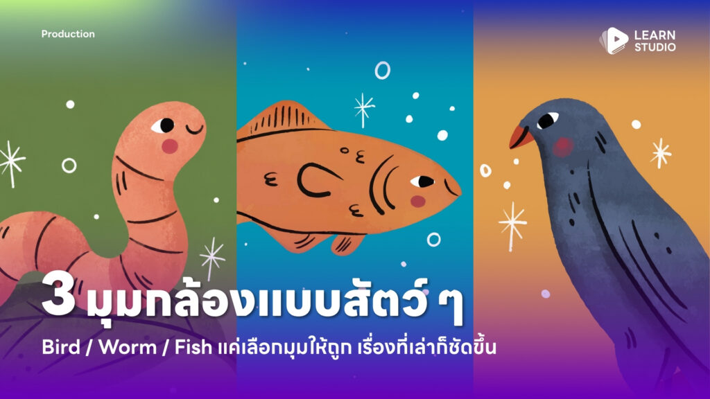 3 มุมกล้องแบบสัตว์ ๆ Bird Worm Fish แค่เลือกมุมให้ถูก เรื่องที่เล่าก็ชัดขึ้น