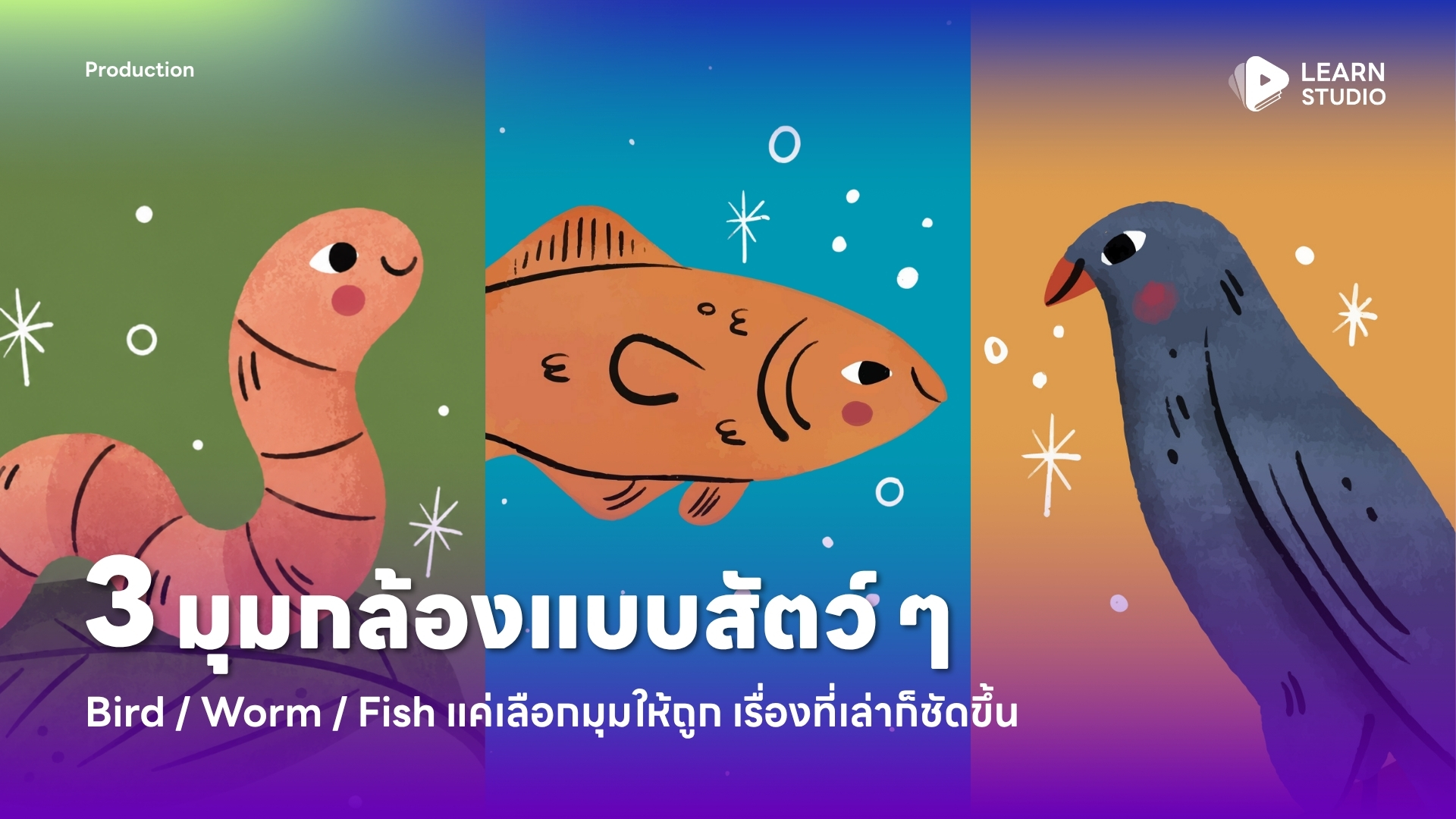 3 มุมกล้องแบบสัตว์ ๆ Bird Worm Fish แค่เลือกมุมให้ถูก เรื่องที่เล่าก็ชัดขึ้น